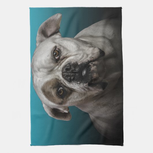 青い黒のグラデーションの背景を持つ可愛いボクサー犬 キッチンタオル (縦)