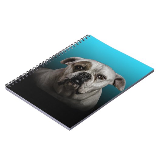 青い黒のグラデーションの背景を持つ可愛いボクサー犬 ノートブック (左側)