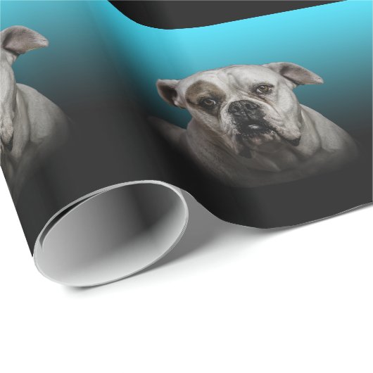 青い黒のグラデーションの背景を持つ可愛いボクサー犬 ラッピングペーパー (ロールコーナー)