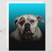 青い黒のグラデーションの背景を持つ可愛いボクサー犬 レターヘッド (正面/裏面)