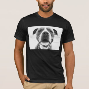 青い鼻のピットブルのTシャツ Tシャツ