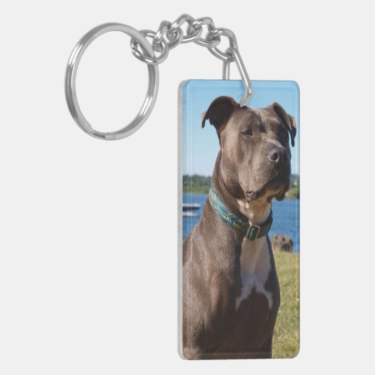 青い鼻 キーホルダー (正面左)