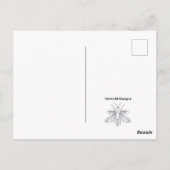 青い（ばちゃばちゃ）跳ねる – はがき (裏面)