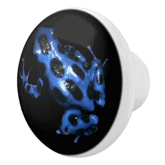 青いAuratusの投げ矢のカエルの引出しの引き、カエルのノブ セラミックノブ (右)