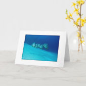 青いBatfishの挨拶状 カード (黄色い花)