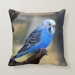 青いBudgieのオウムのインコ クッション