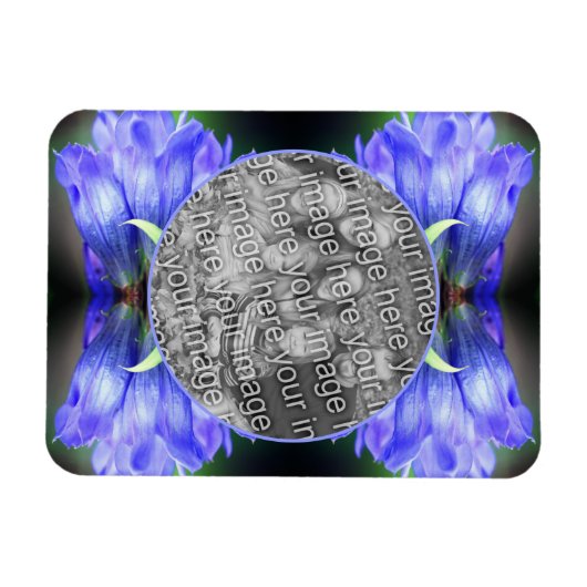 青いGentianフラワーフレーム自分の写真を追加 マグネット (横)