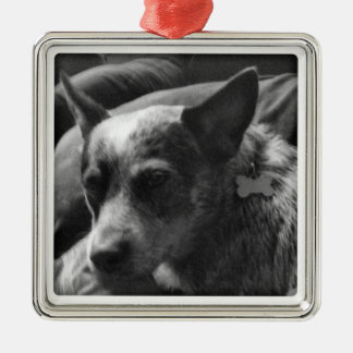 青いHeeler メタルオーナメント