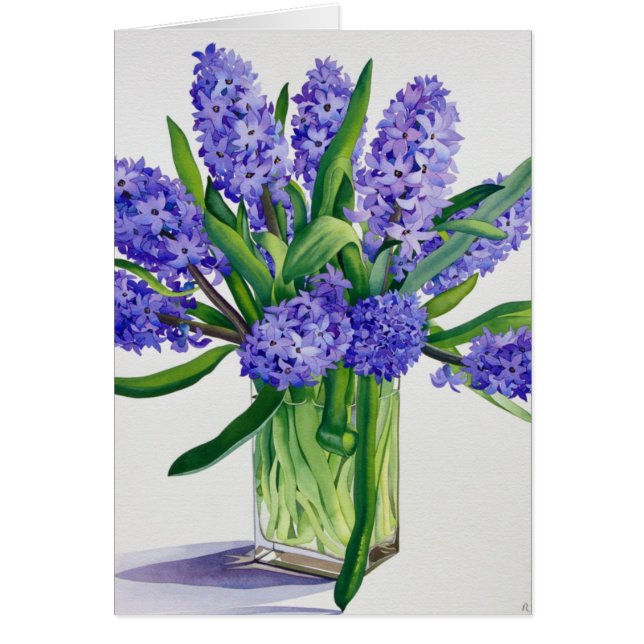 青いHyacinths (正面)
