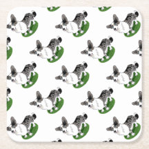 青いmerle、コーギーのカーディガン