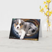 青いMerle 4のオーストラリア人の羊飼いの挨拶状 カード (黄色い花)