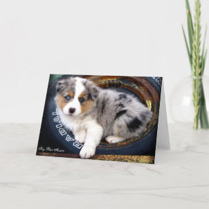 青いMerle 4のオーストラリア人の羊飼いの挨拶状 カード