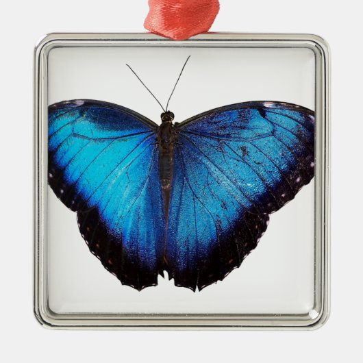 青いMorpho Butterflie メタルオーナメント (正面)