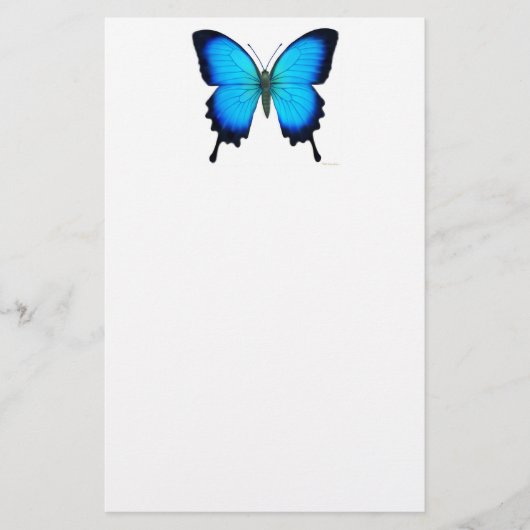 青いPapilioウリッセースの蝶文房具 便箋 (正面)