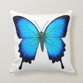 青いPapilioウリッセースの蝶枕 クッション