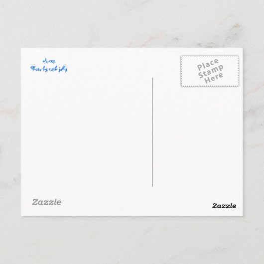 青いParaketはがき ポストカード (裏面)