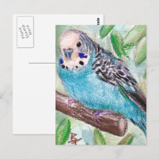 青いParaketはがき ポストカード (正面/裏面)