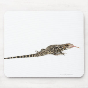 青いtegu - Tupinambisのmerianae マウスパッド