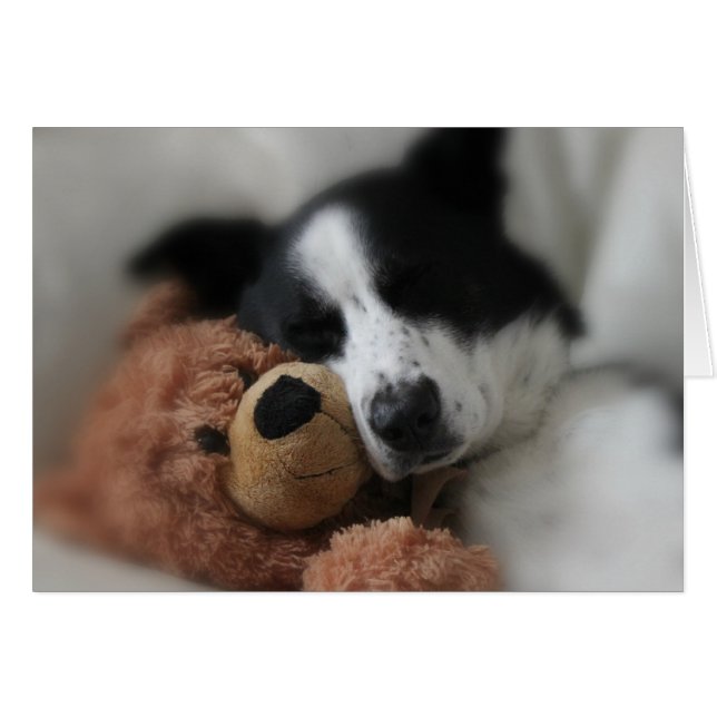 青およびくま (正面横)