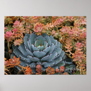 青およびオレンジsucculents ポスター