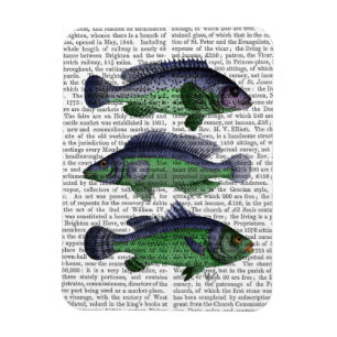 青および緑の魚のトリオ マグネット