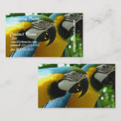 青および金ゴールドのコンゴウインコの名刺 名刺 (正面/裏面)