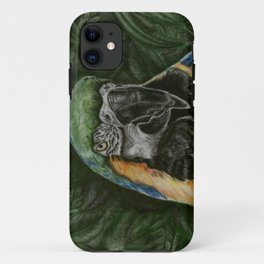 青および金ゴールドのコンゴウインコのIphoneの場合 Case-Mate iPhoneケース (裏面)