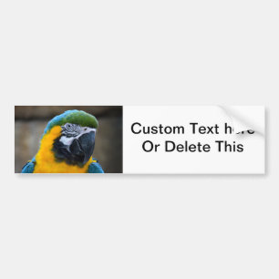 青および金ゴールドのコンゴウインコはヘッド眺めcをオウム返しします バンパーステッカー