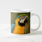 青および金ゴールドのコンゴウインコ ジャンボコーヒーマグカップ (右)