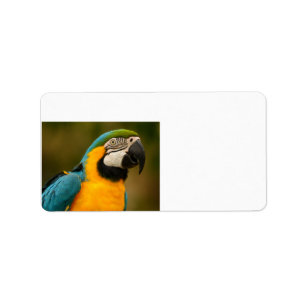 青および金ゴールドのコンゴウインコ ラベル