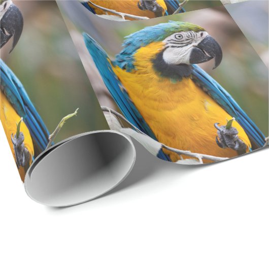 青および黄色のコンゴウインコの包装紙 ラッピングペーパー (ロールコーナー)