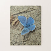 青かわいらしい蝶の写真 ジグソーパズル (縦)