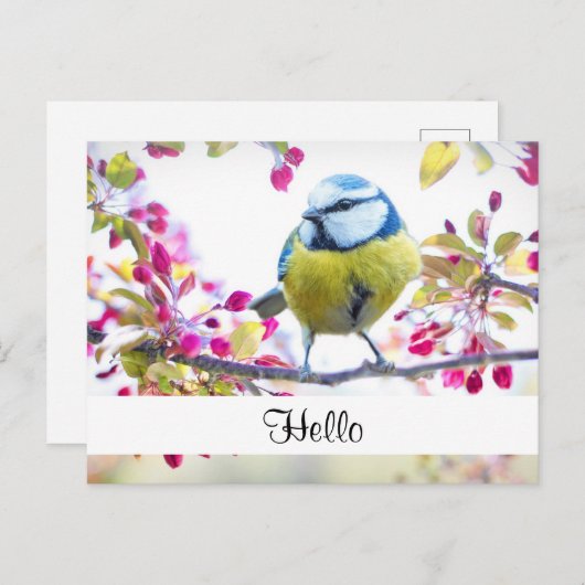 青かわいらしと黄色の鳥の枝こんにちは ポストカード (正面/裏面)