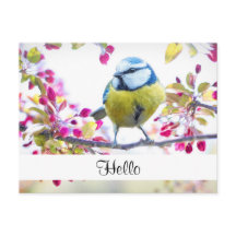 青かわいらしと黄色の鳥の枝こんにちは