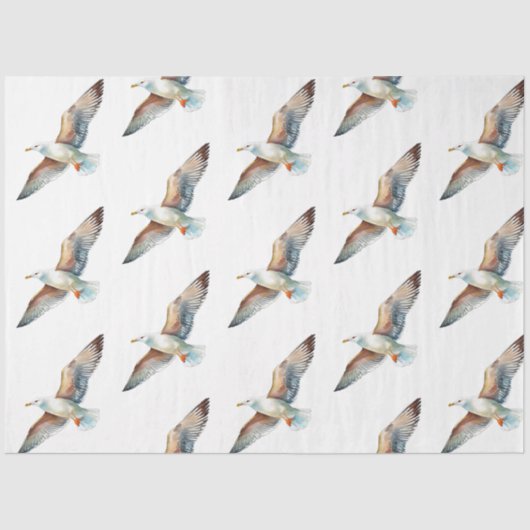 青かわいらし系航海のデザイン4 薄葉紙 (正面)