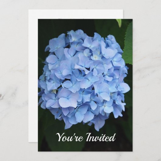 青かわいらし紫陽花フローラ写真誕生日 招待状 (正面/裏面)