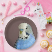 青かわいらし色のParaket写真 ペーパープレート (パーティー)