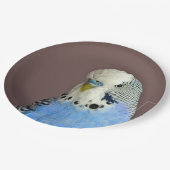 青かわいらし色のParaket写真 ペーパープレート (アングル)