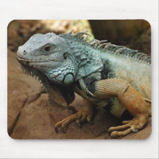 青くないがあないで下さい マウスパッド