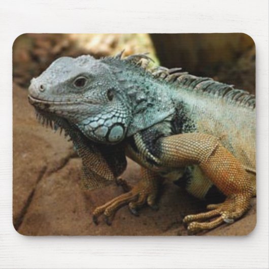 青くないがあないで下さい マウスパッド (正面)