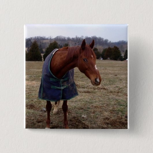 青く青い海の正方形ボタン 缶バッジ (正面)