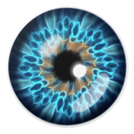 青とオレンジのアイリスの眼球 セラミックノブ (正面)