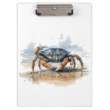 青とオレンジのカニ歩くオンビーチ