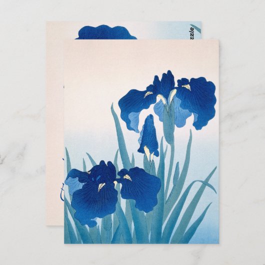 青とターコイズのアイリス 感謝 ポストカード (正面/裏面)