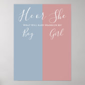 青とピンクの性別が投票記号を明らかにする ポスター (正面)