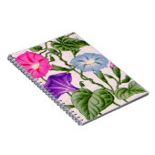 青とピンクの朝顔 ノートブック (右側)