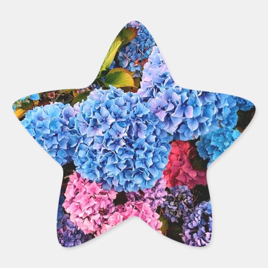 青とピンクの花 星シール (正面)