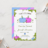 青とピンク甘い小さなかぼちゃのジェンダーの明かす カード (正面/裏面インサイチュ)