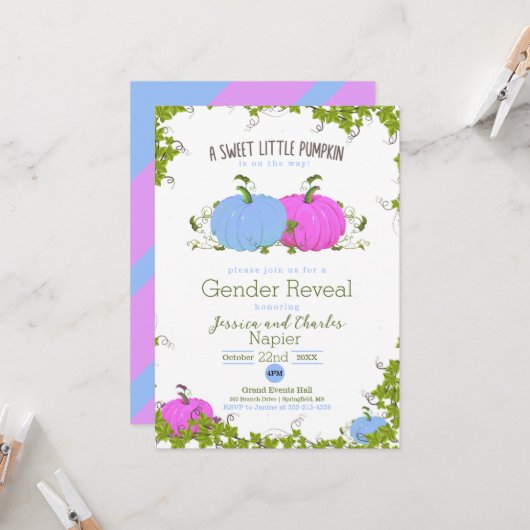 青とピンク甘い小さなかぼちゃのジェンダーの明かす カード (正面/裏面インサイチュ)