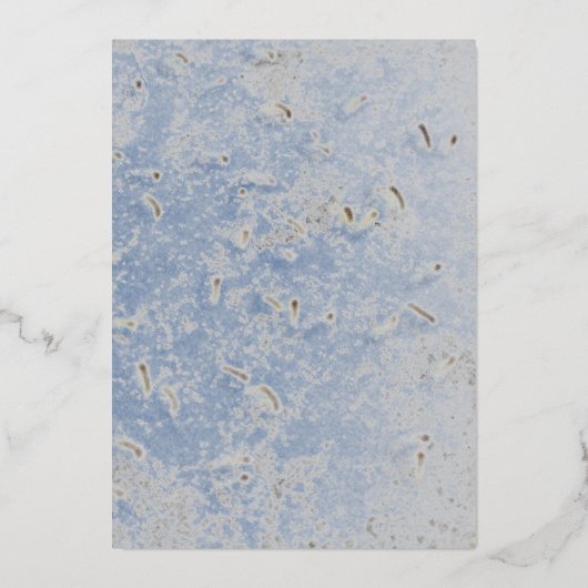 青と灰色の大理石カソリッモノグラムのク結婚ス 箔招待状 (裏面)